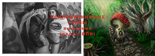 винт Абинск