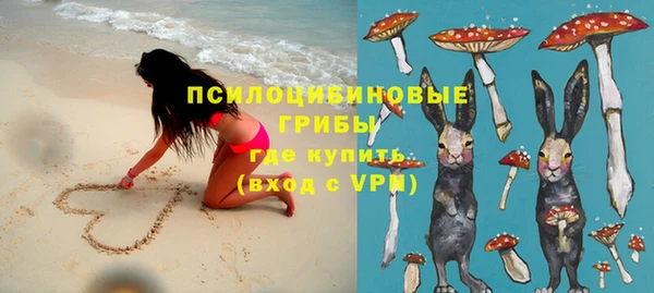 дурь Горнозаводск
