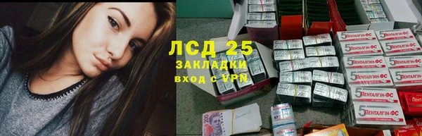 мдпв Ельня