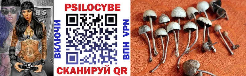 Псилоцибиновые грибы мухоморы  shop как зайти  Лодейное Поле 